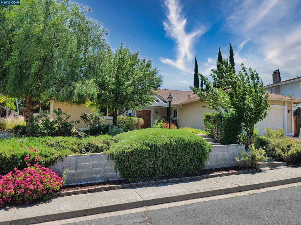 Photo of Listing #41099755