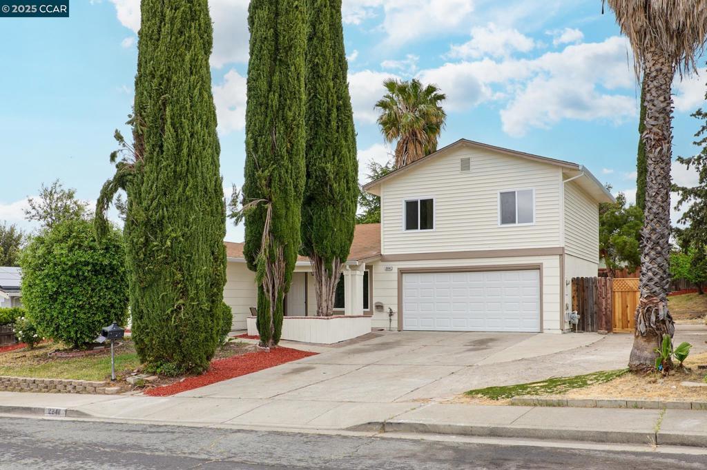 Photo of Listing #41099986