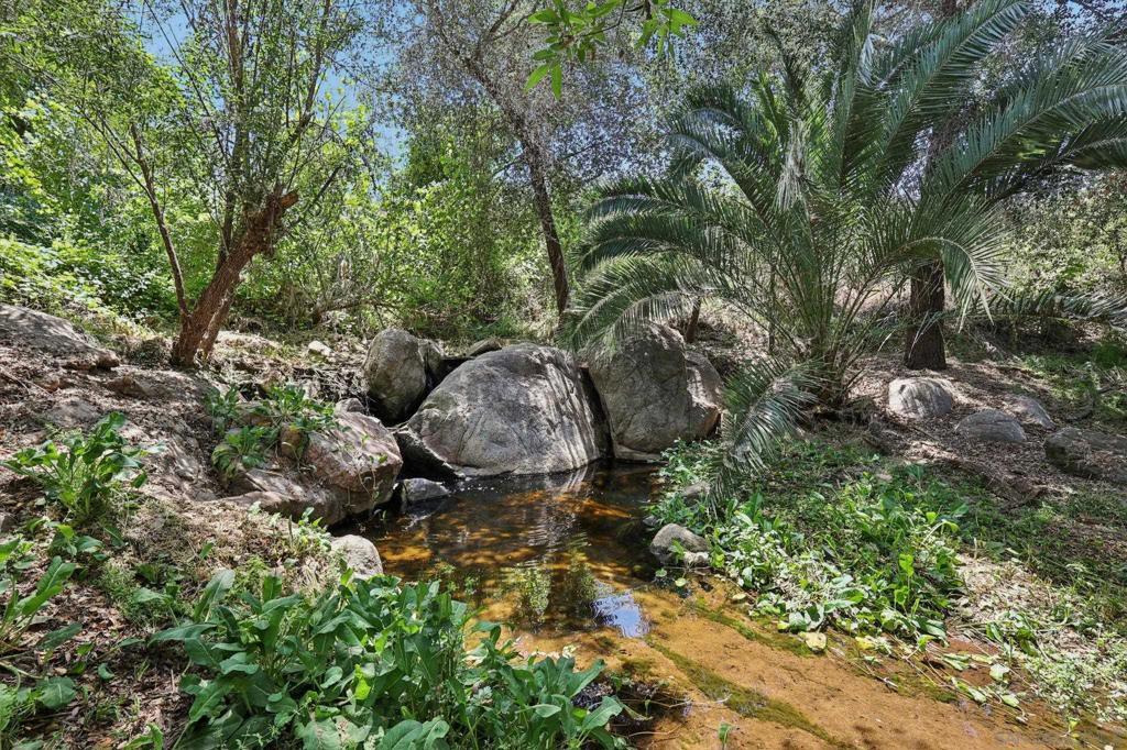 Photo of Listing #250029407SD