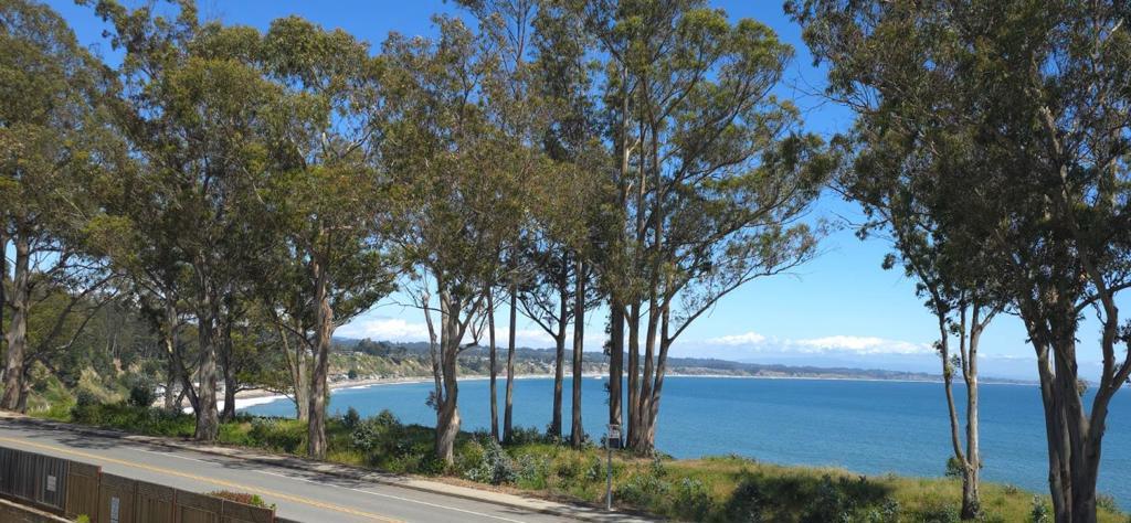 Photo of Listing #ML81997059