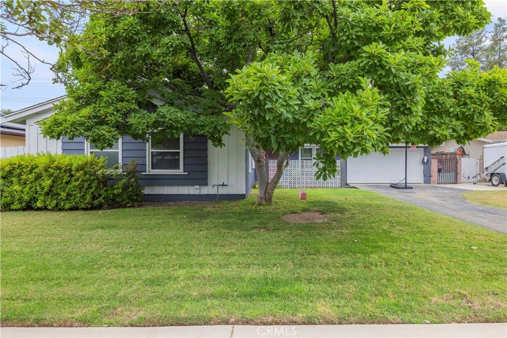 Photo of Listing #SR25127068