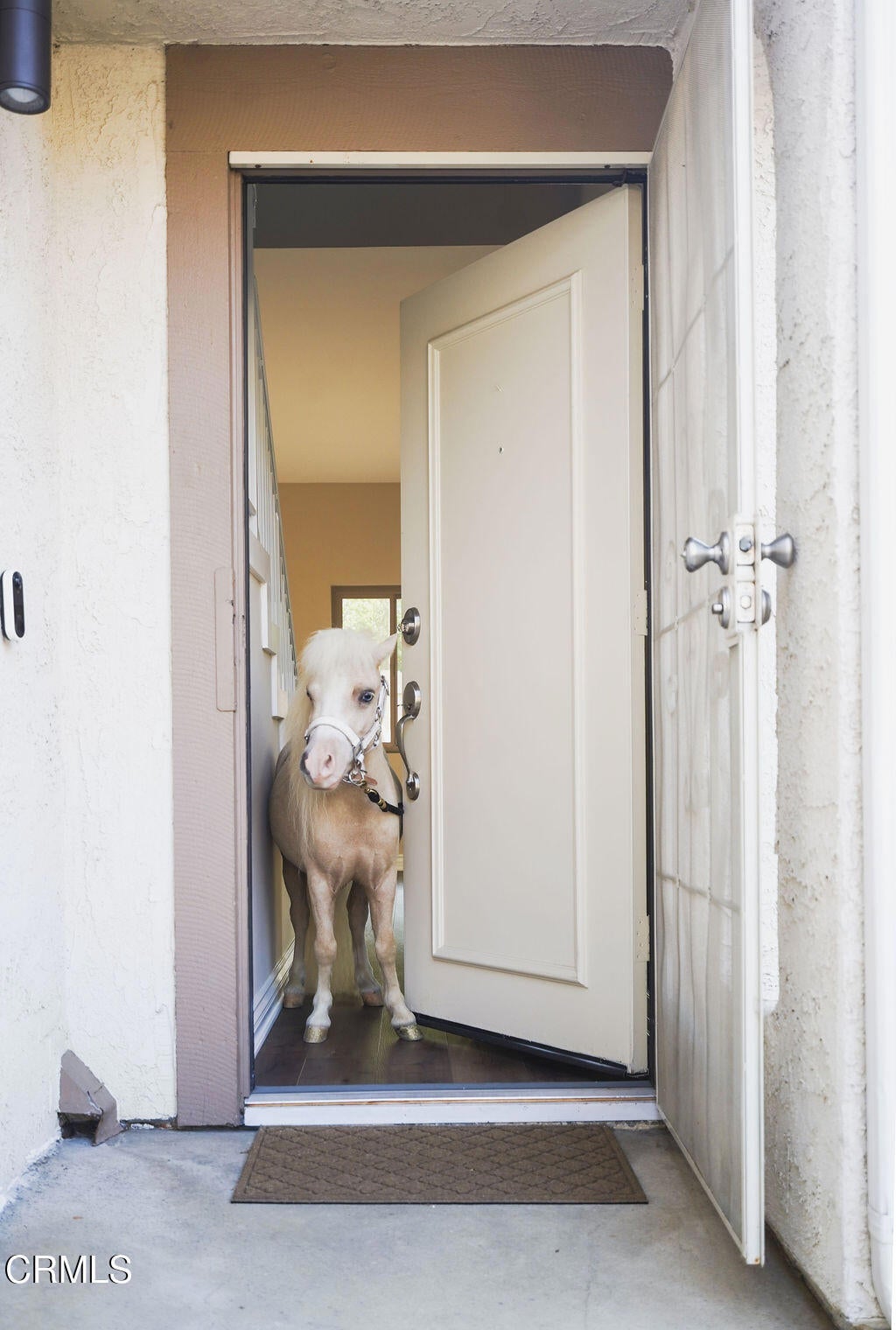 Photo of Listing #V1-30517