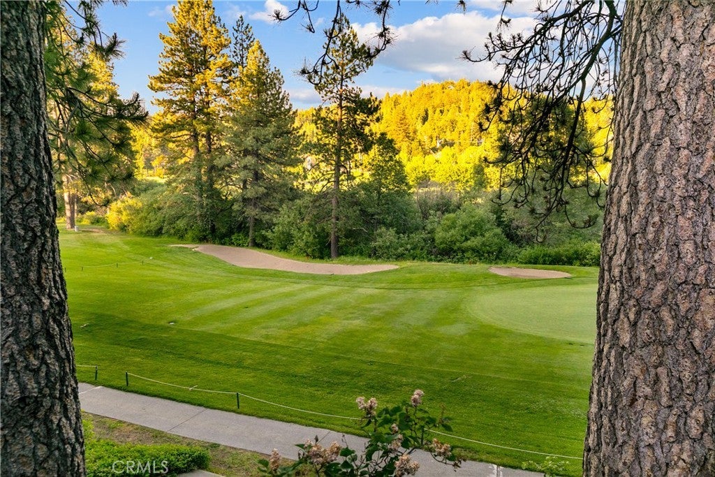 Photo of Listing #IG25132720