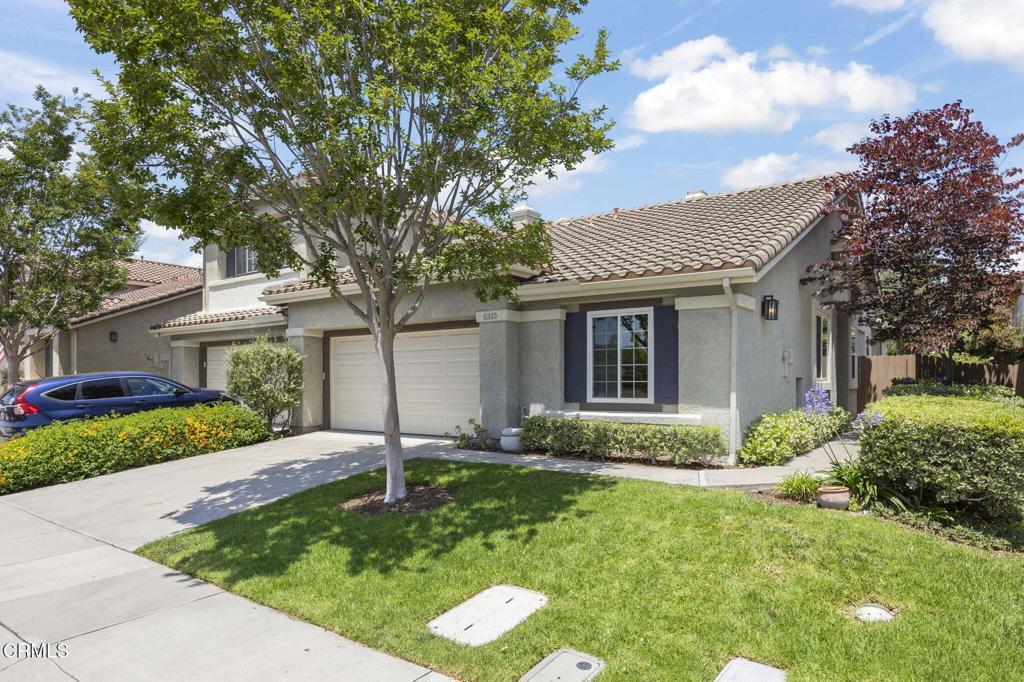 Photo of Listing #V1-30551