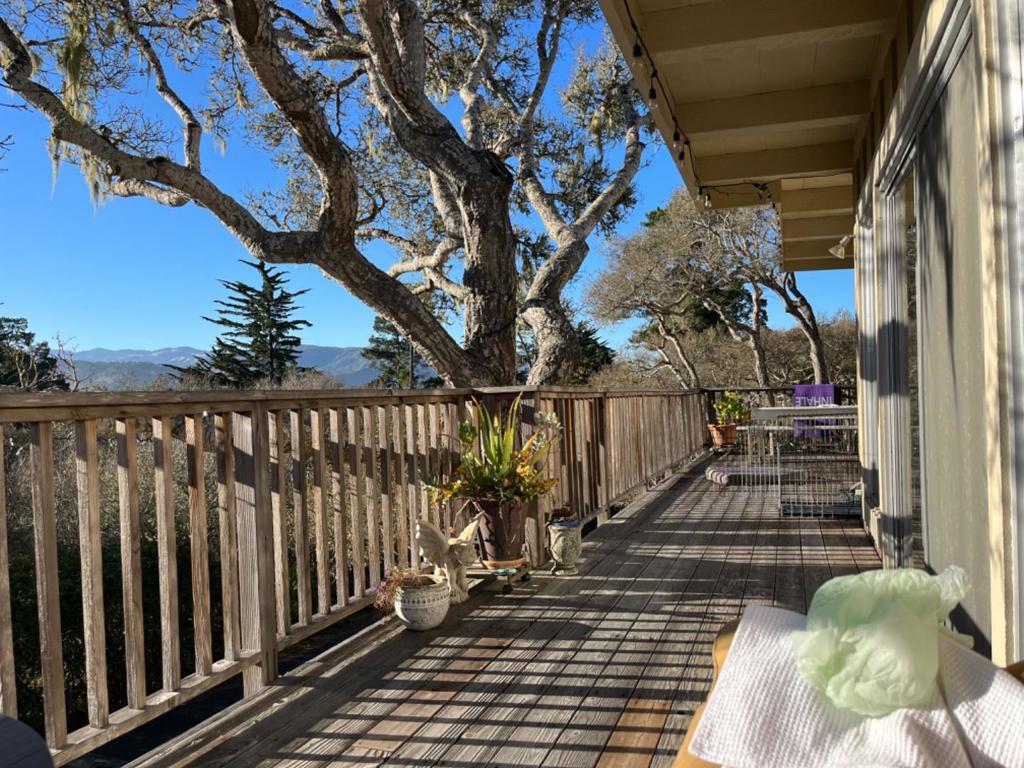 Photo of Listing #ML82011117