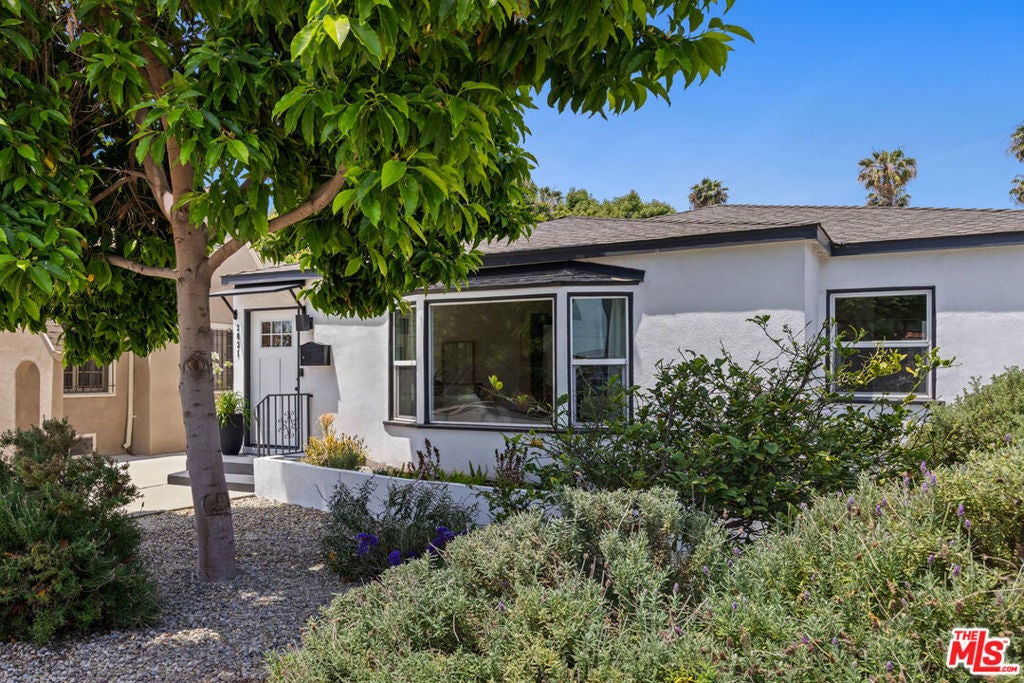 Photo of Listing #25551135