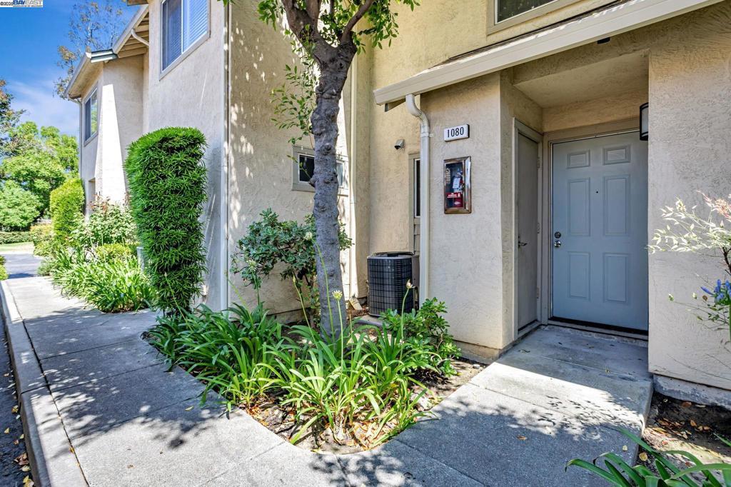 Photo of Listing #41101807