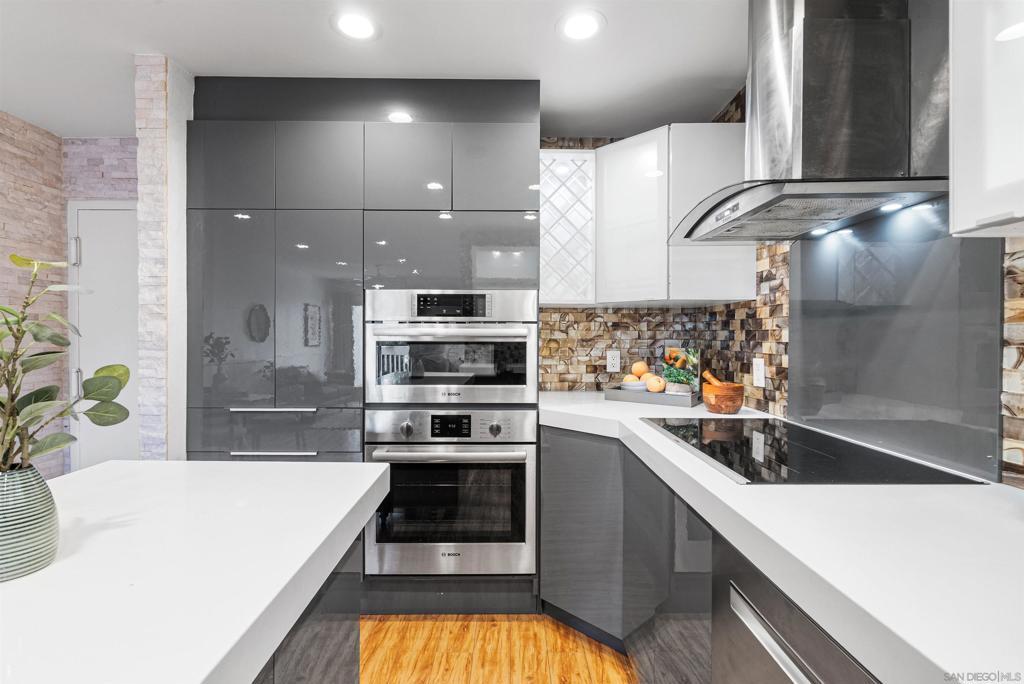 Photo of Listing #250031169SD