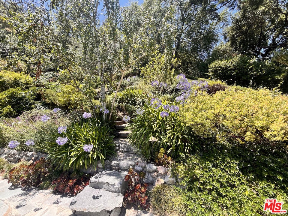 Photo of Listing #25556721