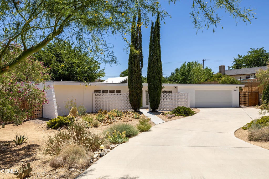 Photo of Listing #P1-22912