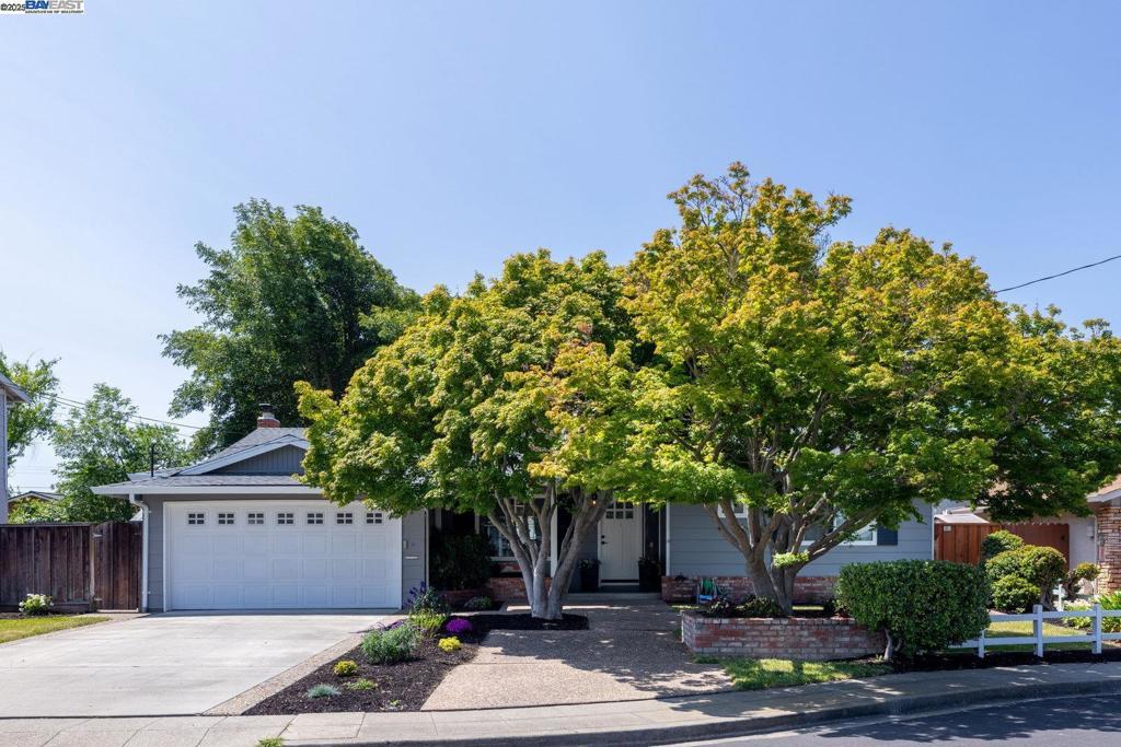 Photo of Listing #41102772