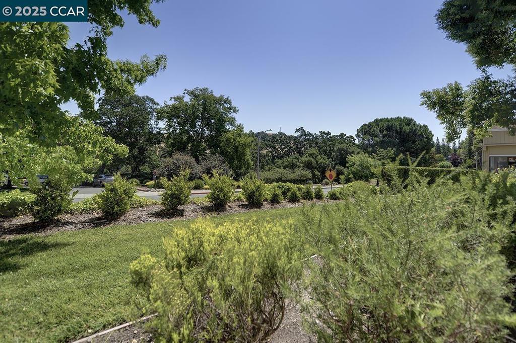 Photo of Listing #41102898