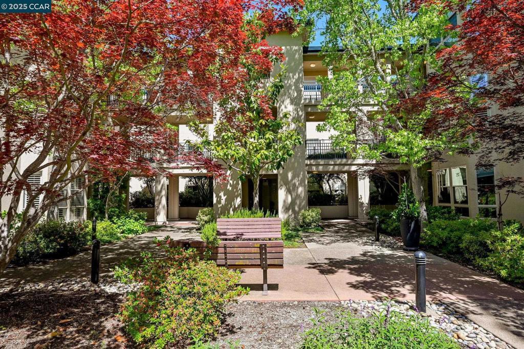 Photo of Listing #41102970