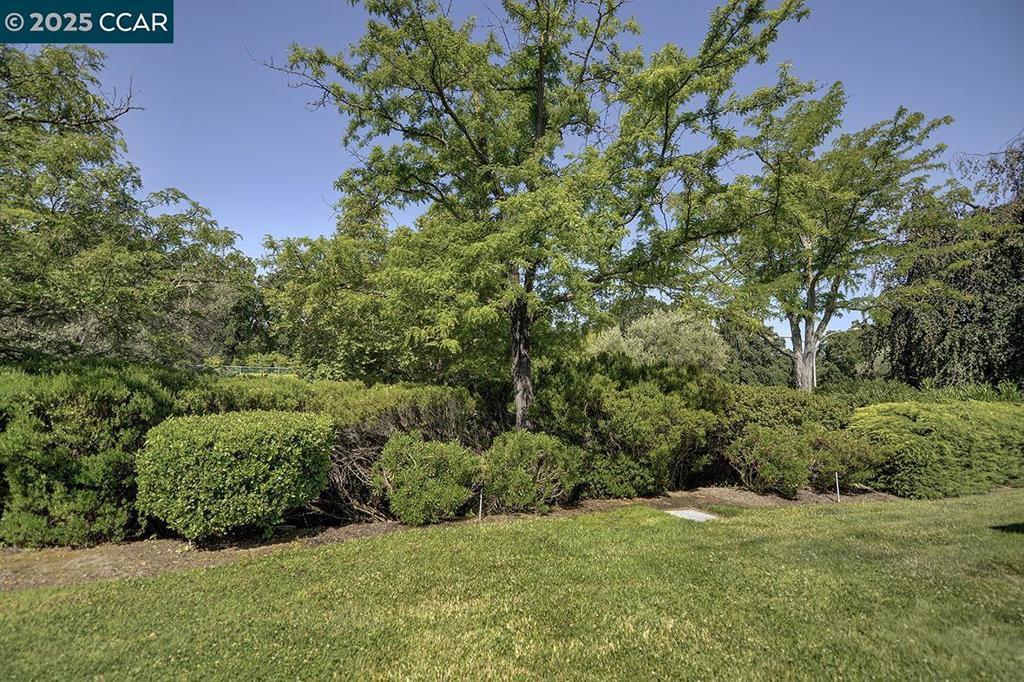 Photo of Listing #41103072