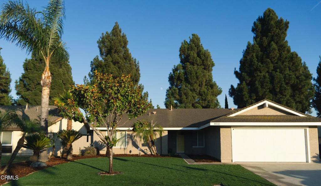 Photo of Listing #V1-30842