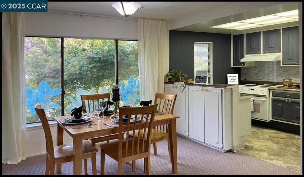 Photo of Listing #41103163