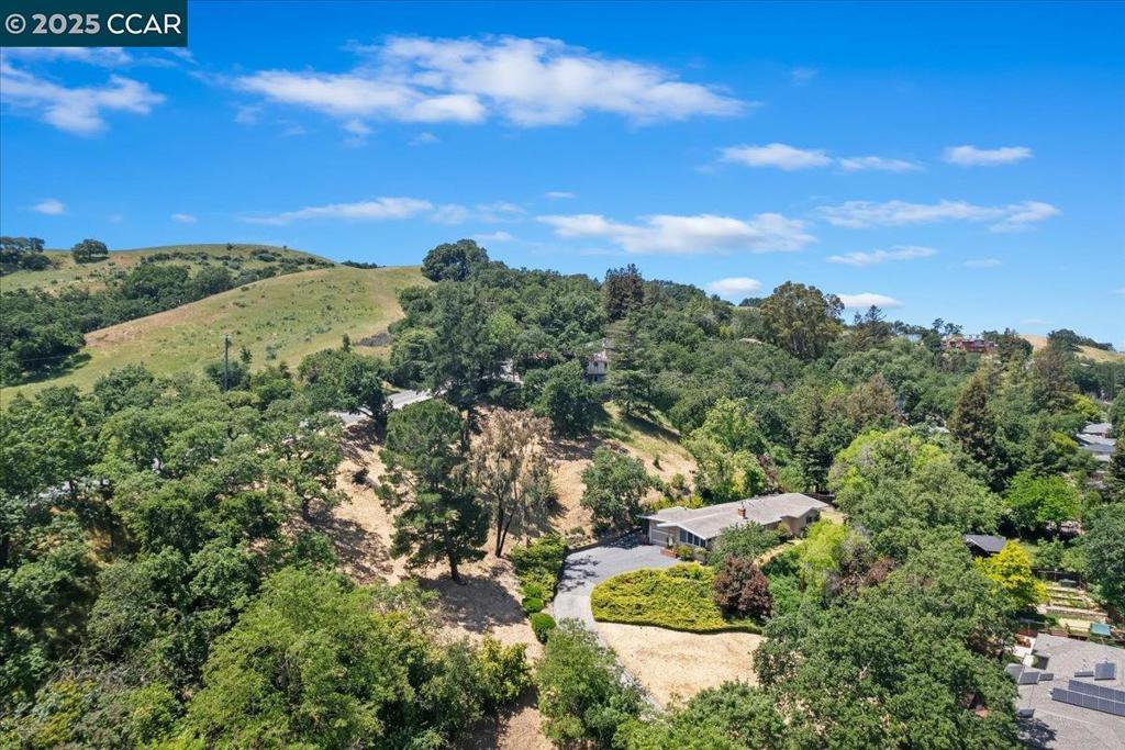 Photo of Listing #41103283