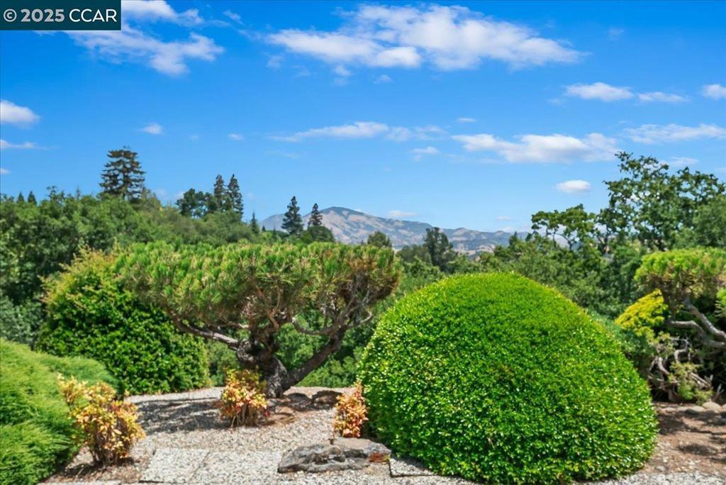 Photo of Listing #41103423