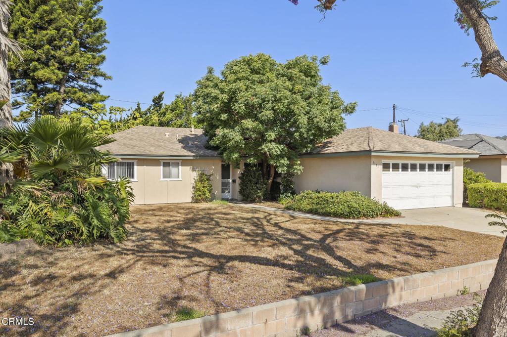 Photo of Listing #V1-30916