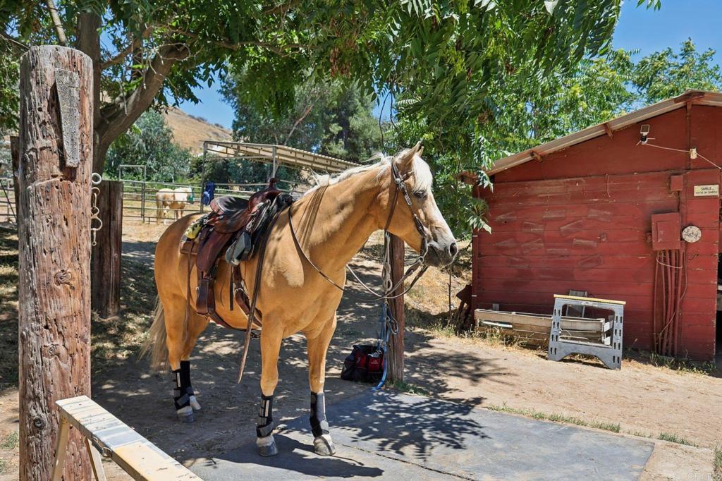 Photo of Listing #PTP2505073