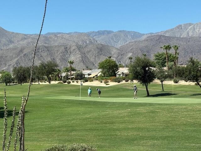 Photo of Listing #219132428DA