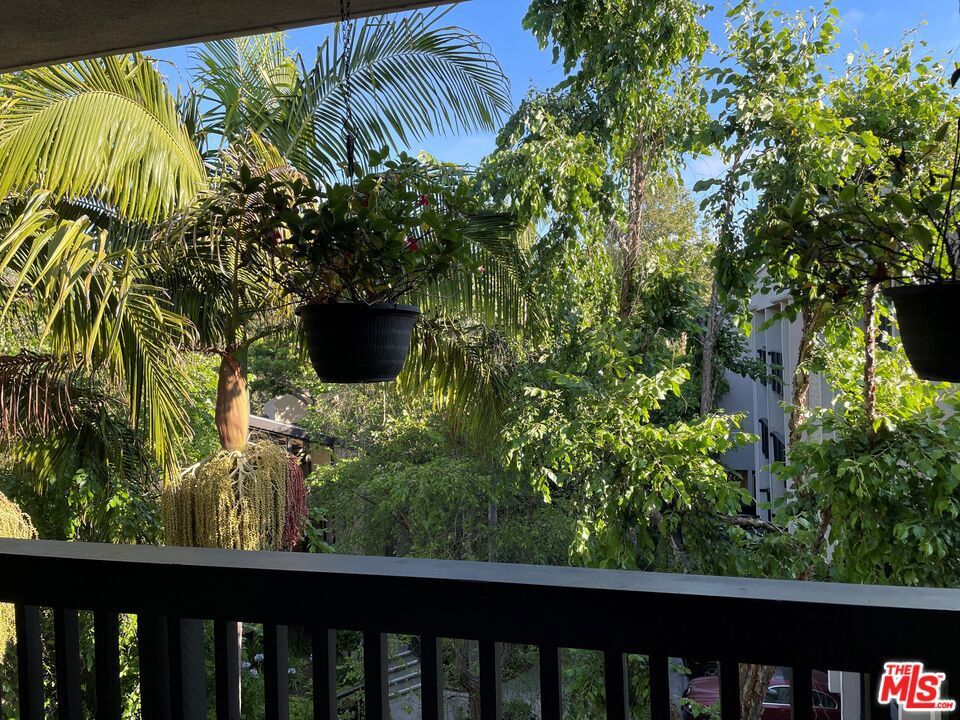 Photo of Listing #25561925