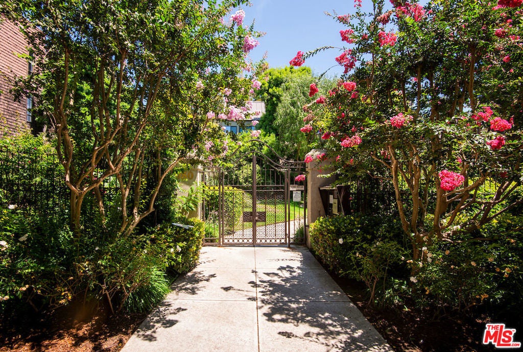 Photo of Listing #25562065