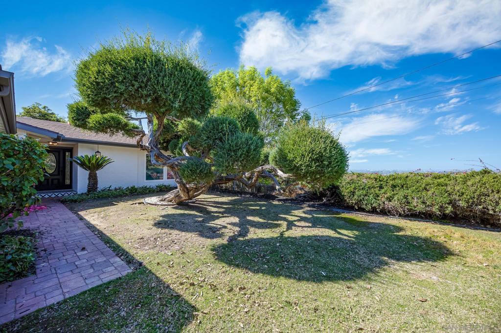 Photo of Listing #250032744SD