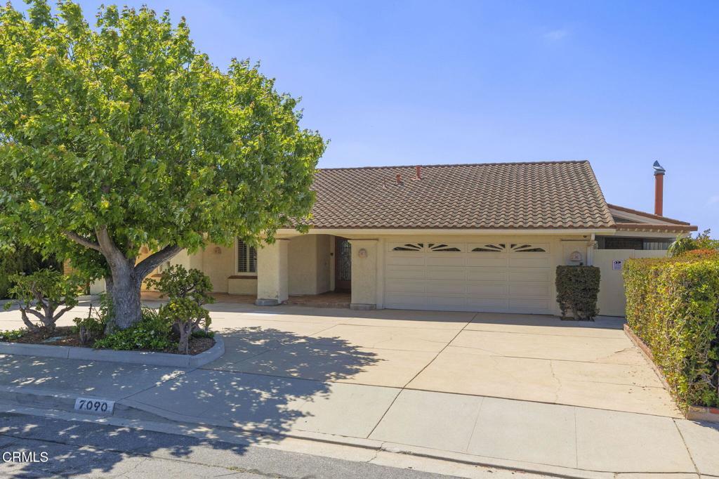 Photo of Listing #V1-31001