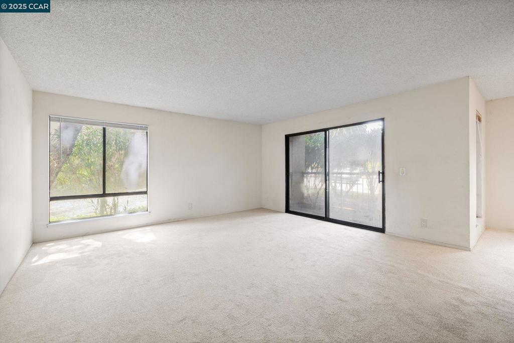 Photo of Listing #41104219