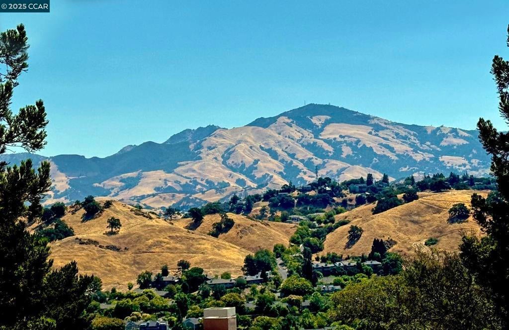 Photo of Listing #41104445