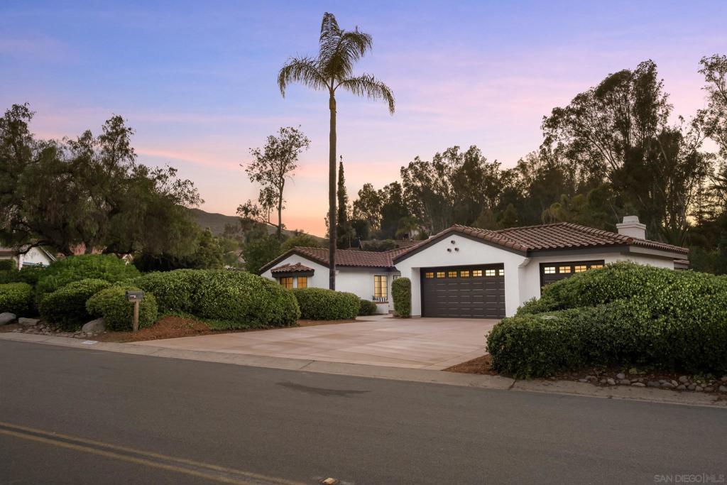 Photo of Listing #250033281SD