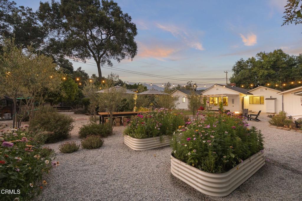 Photo of Listing #V1-31092