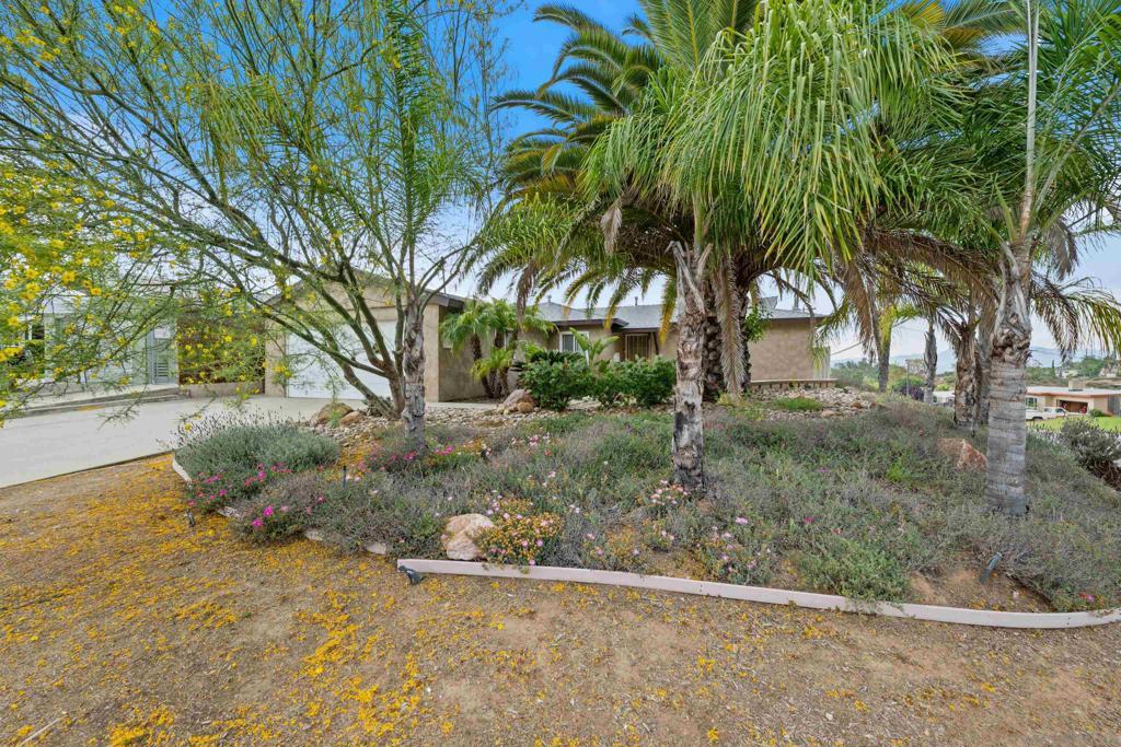 Photo of Listing #250033375SD