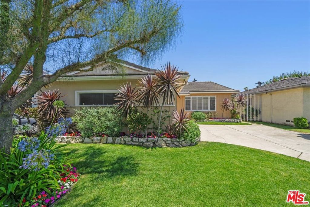 Photo of Listing #25565069