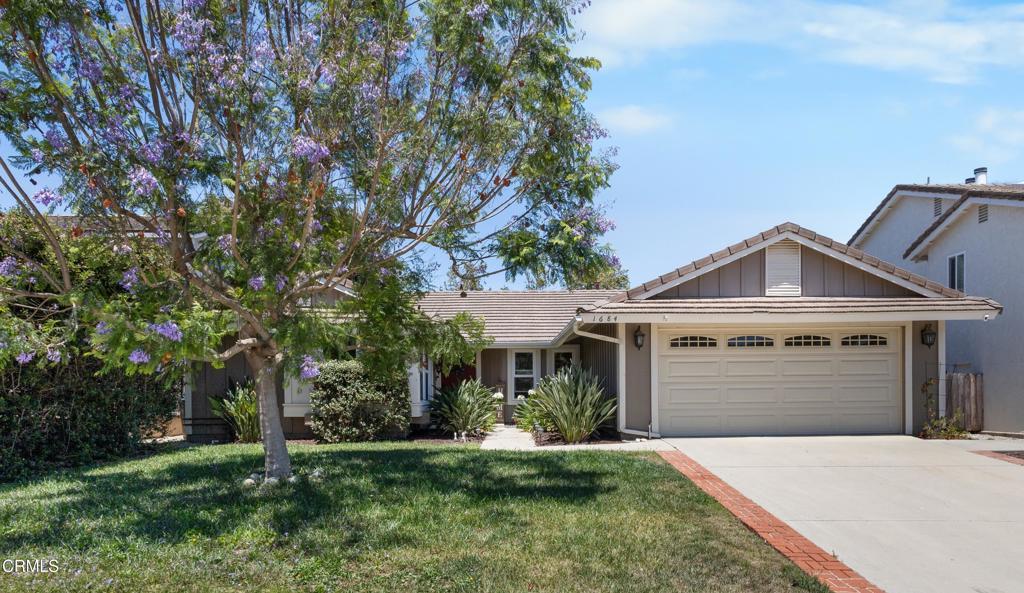 Photo of Listing #V1-31178