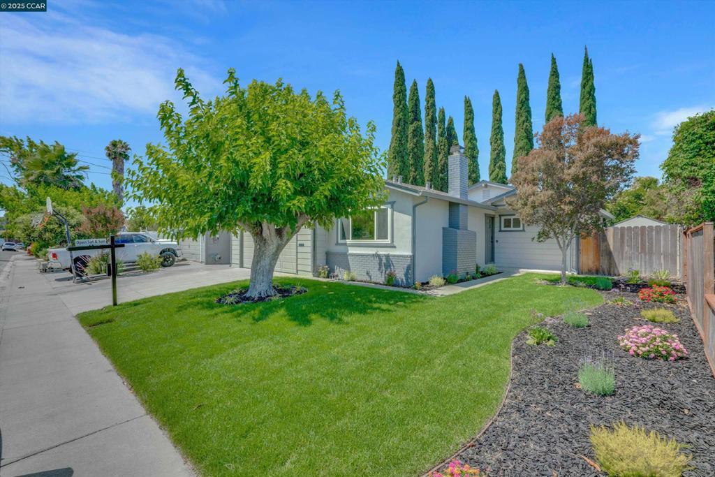 Photo of Listing #41105240