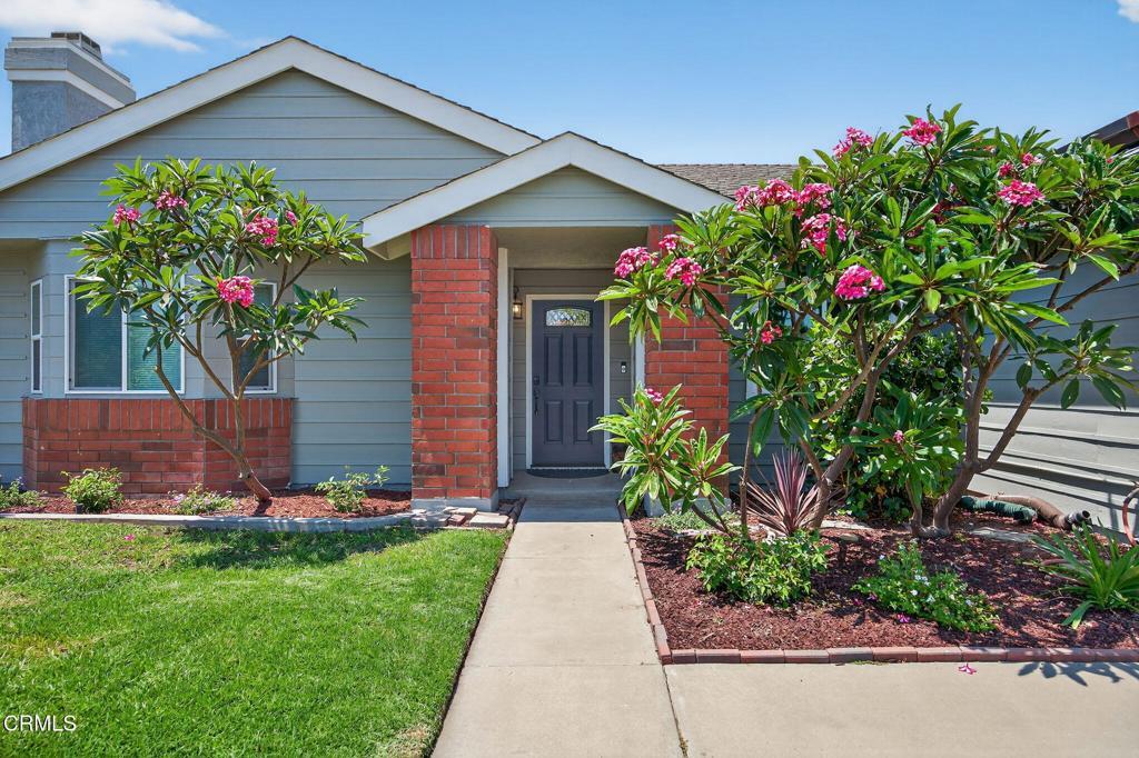 Photo of Listing #V1-31213