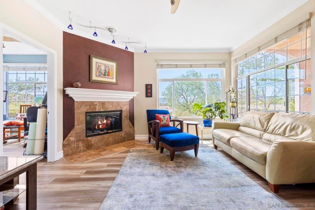 Photo of Listing #250033891SD