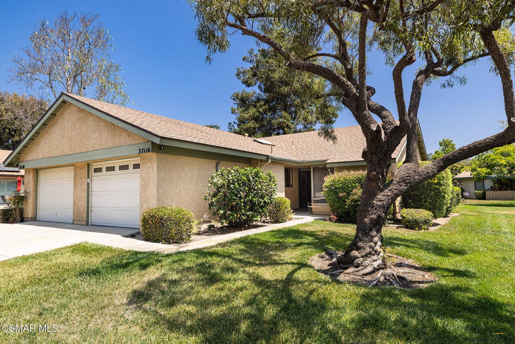 Photo of Listing #225003639