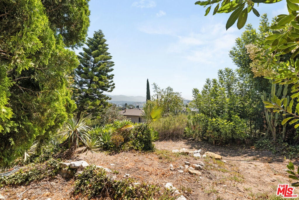 Photo of Listing #25567303