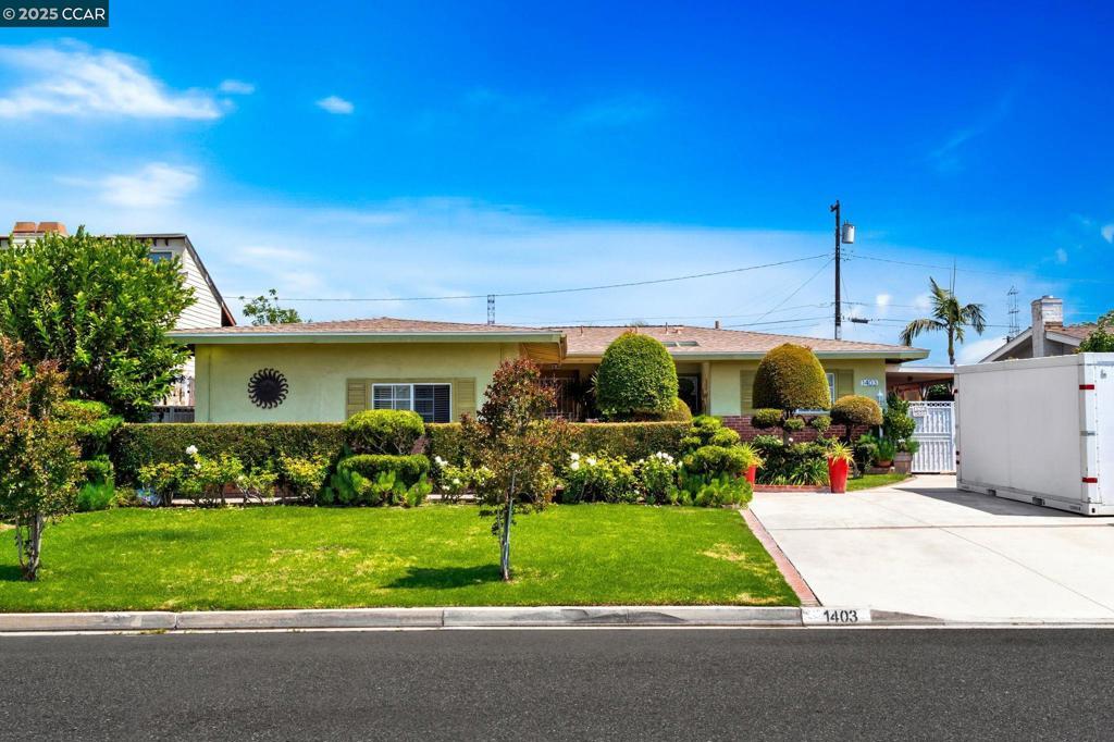 Photo of Listing #41105535