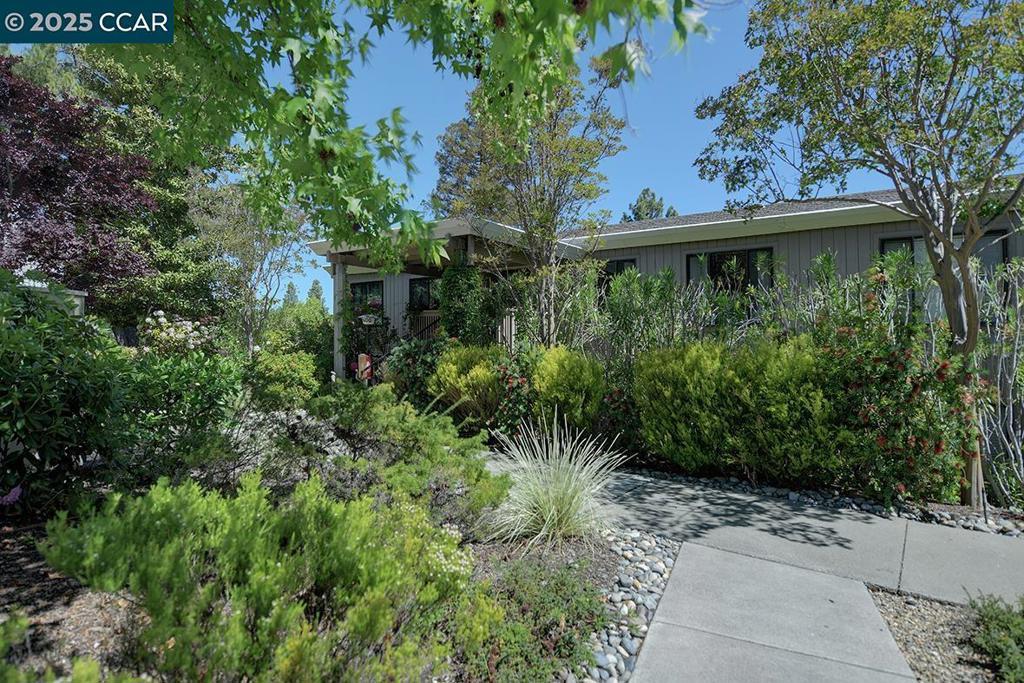 Photo of Listing #41105573