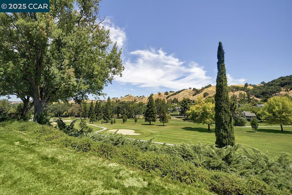 Photo of Listing #41106241