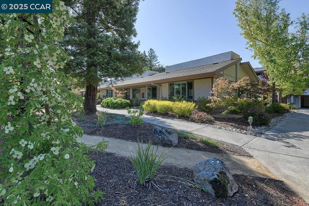 Photo of Listing #41106488