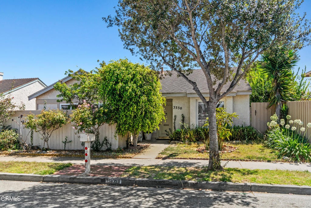 Photo of Listing #V1-31455