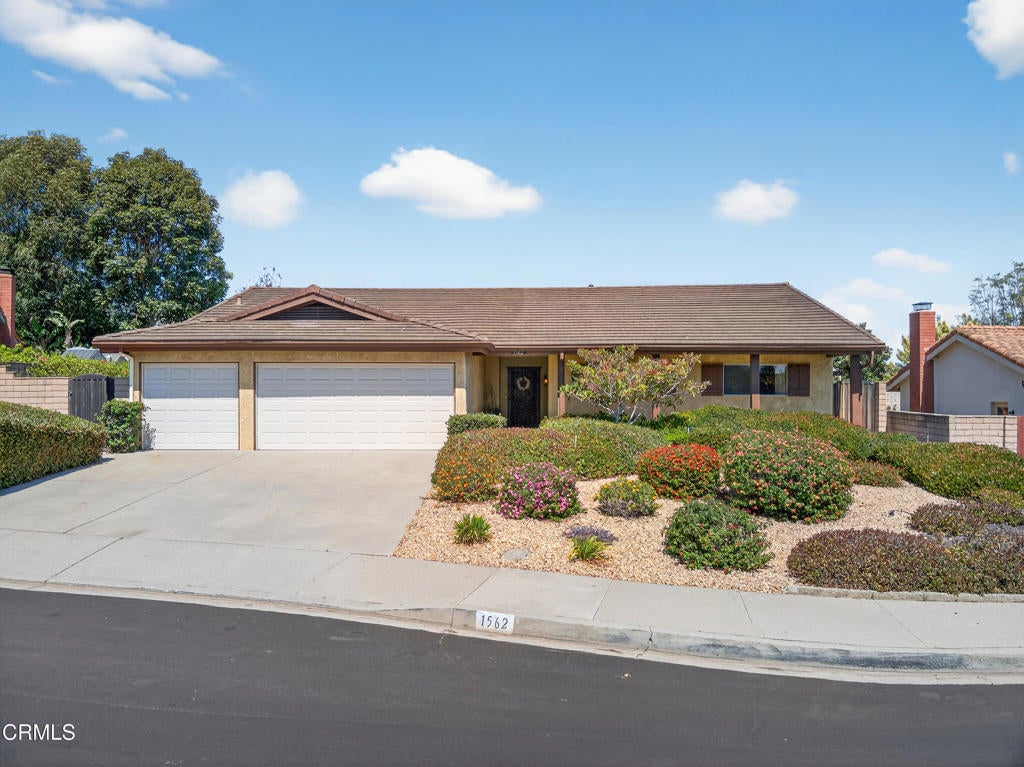 Photo of Listing #V1-31461