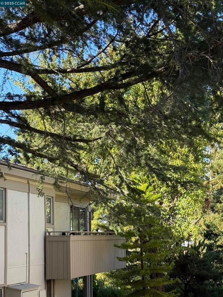 Photo of Listing #41106926