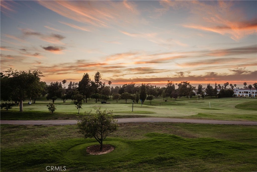 Photo of Listing #DW25176038