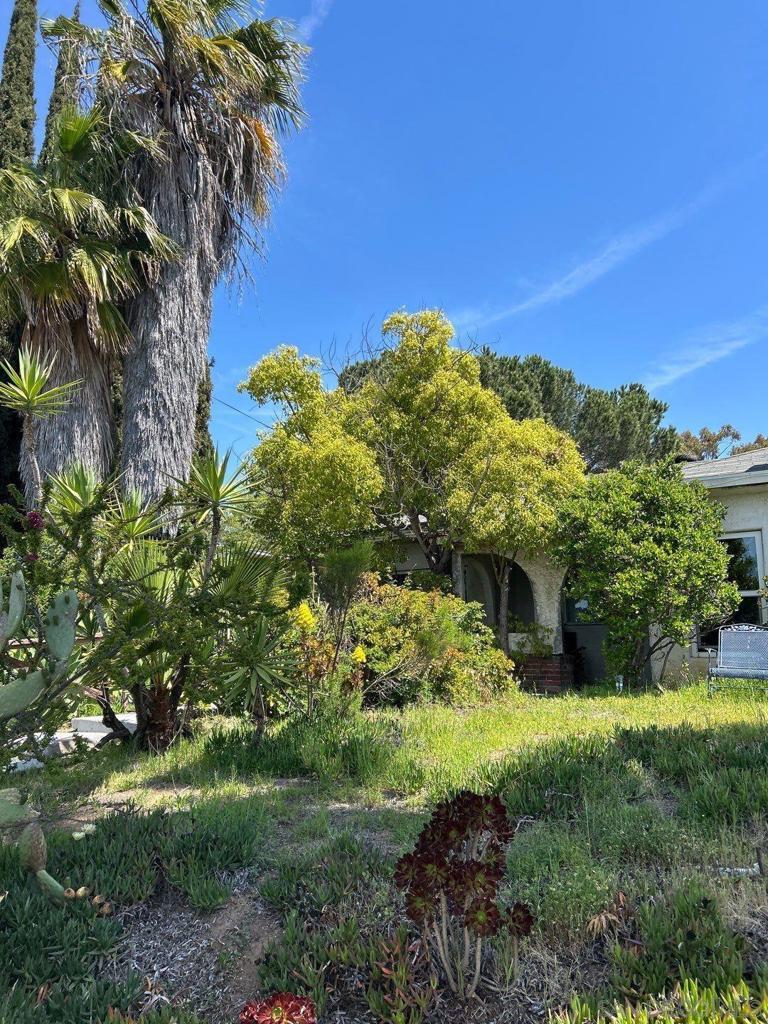 Photo of Listing #250035473SD